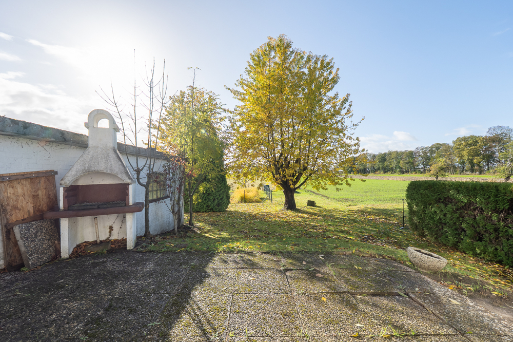 Terrasse, Garten