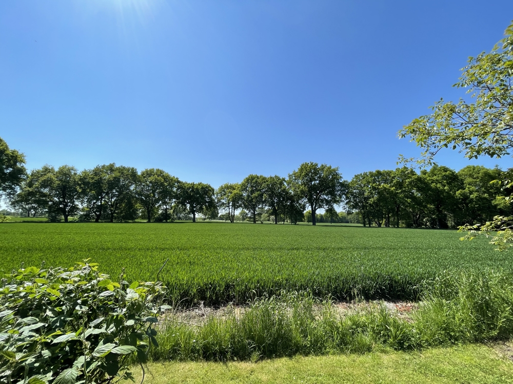 Gartensicht Feld