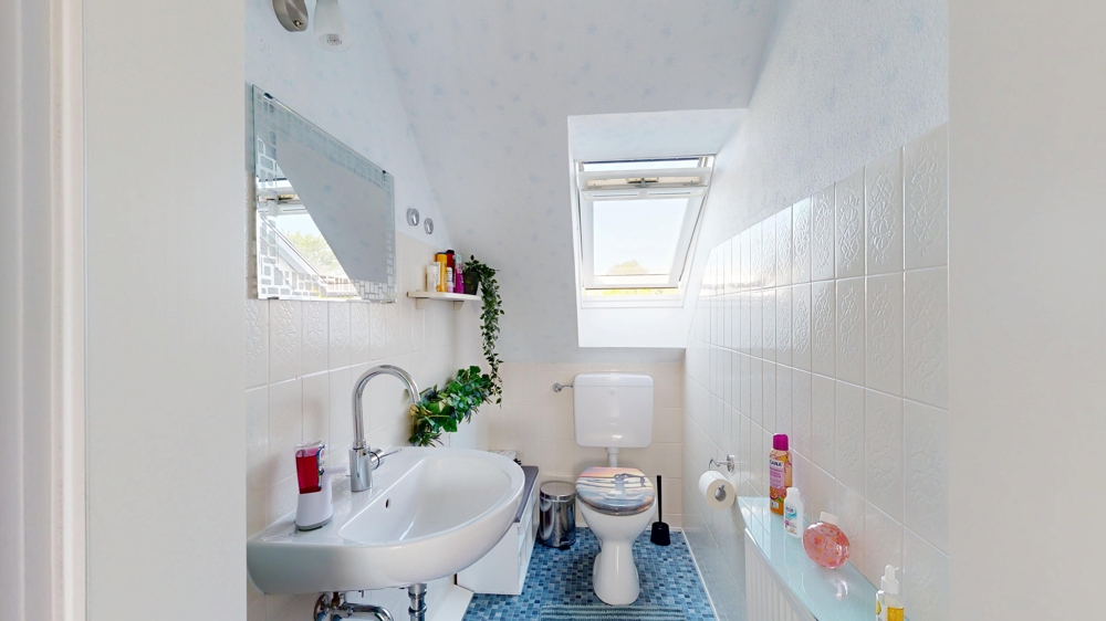 WC DG