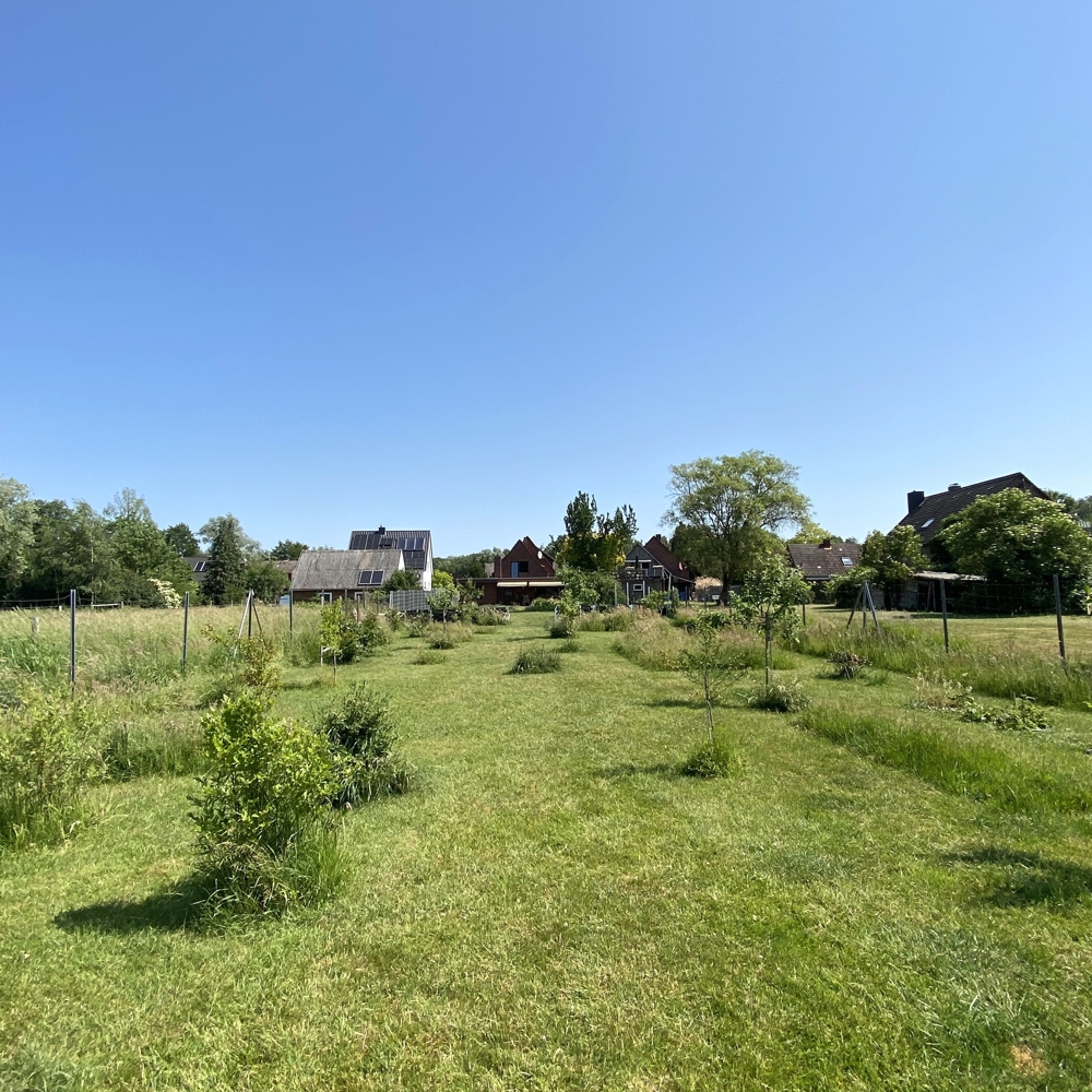 Obstgarten