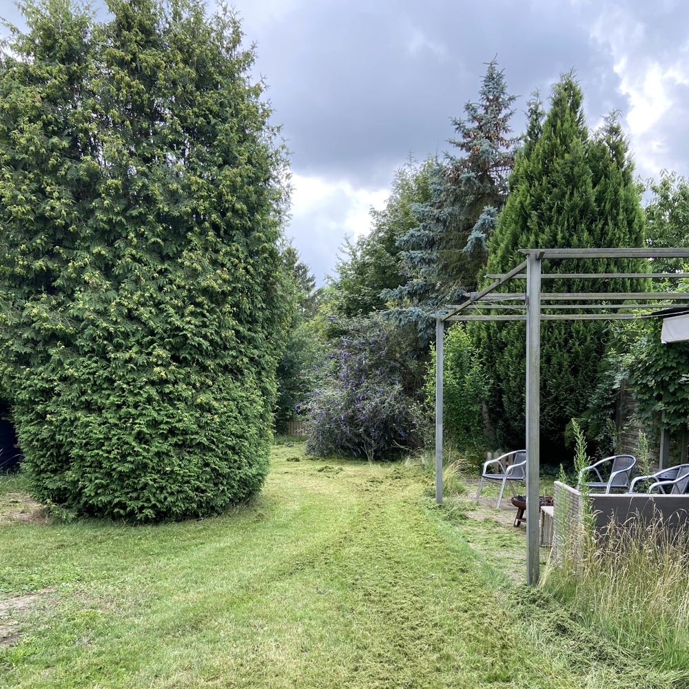 Gemeinschaftsgarten