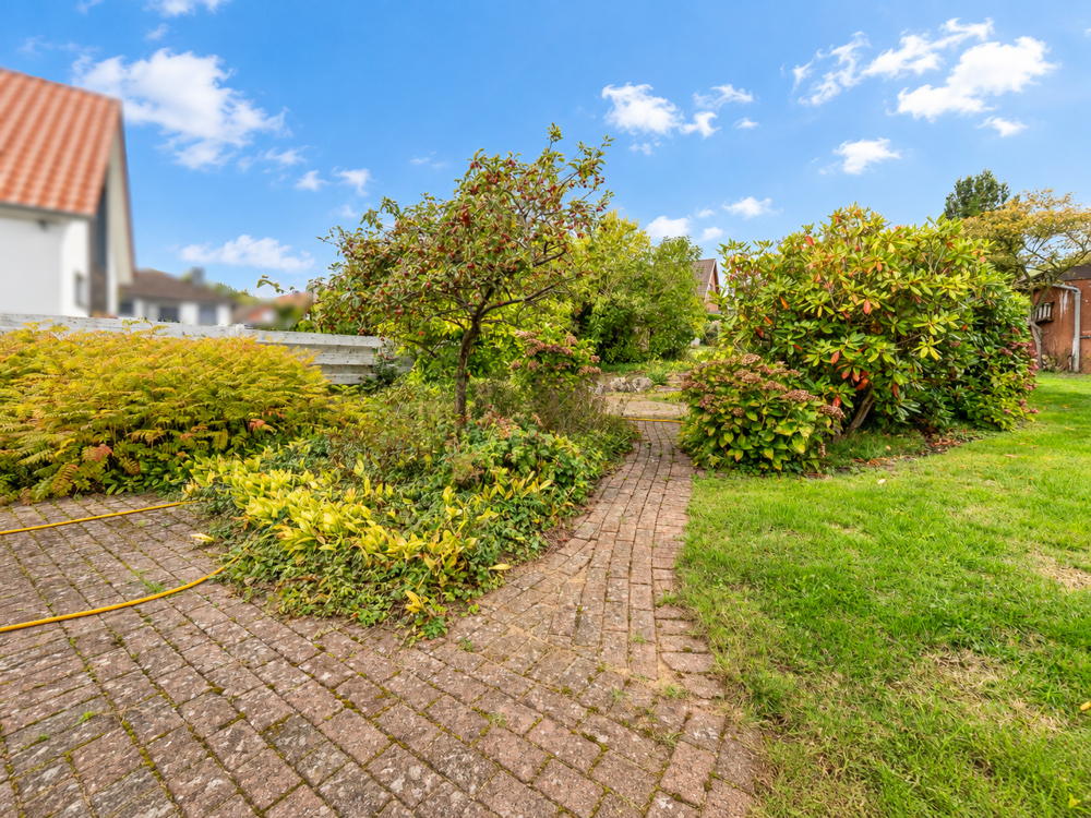Garten Ansicht 2