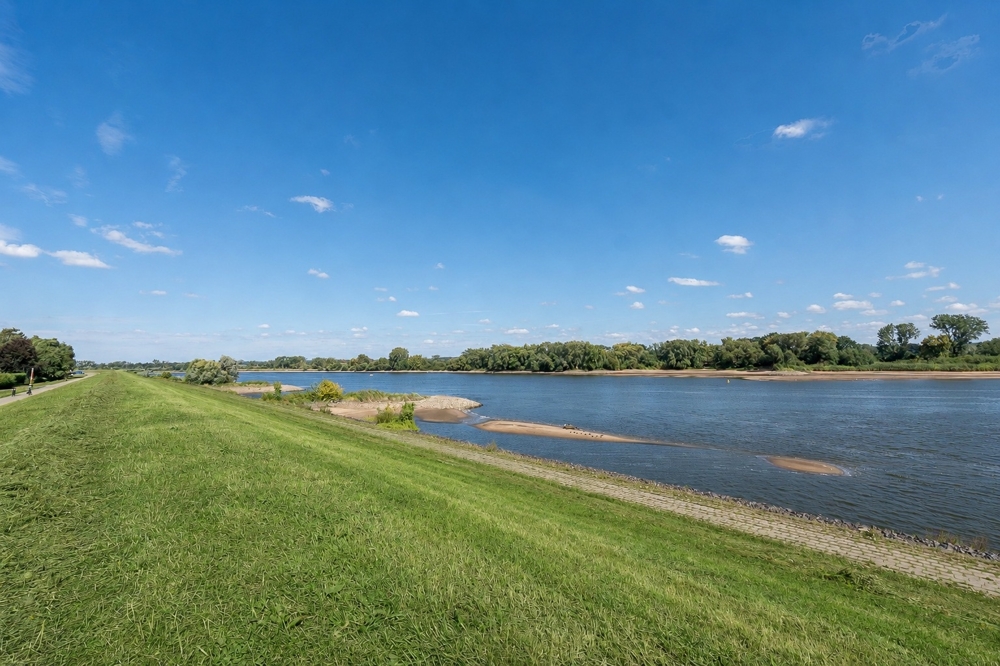 Aussicht auf die Elbe