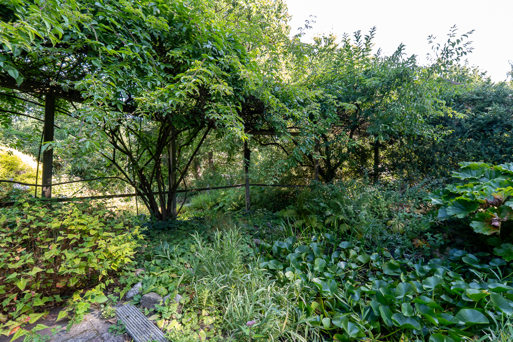 Gartenteiche