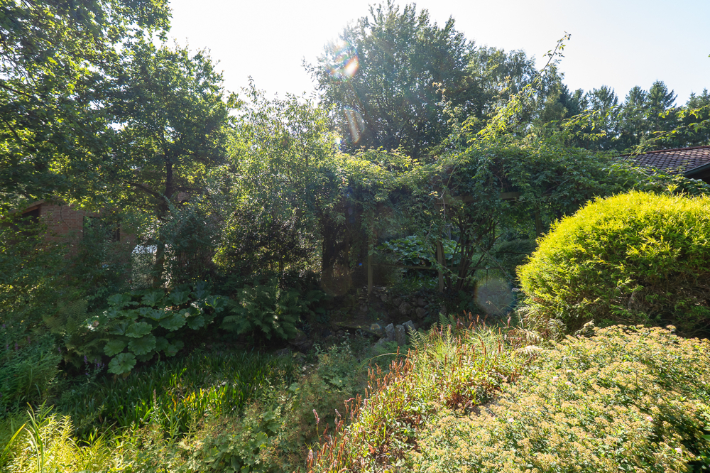 Gartenteiche