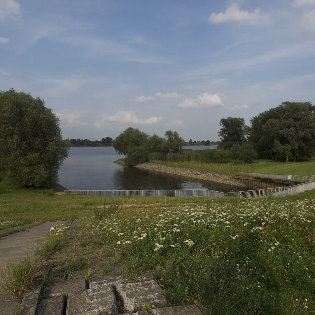 Seevemündung in die Elbe bei Wuhlenburg – Immobilienmakler Fliegenberg - Neubauer Immobilien