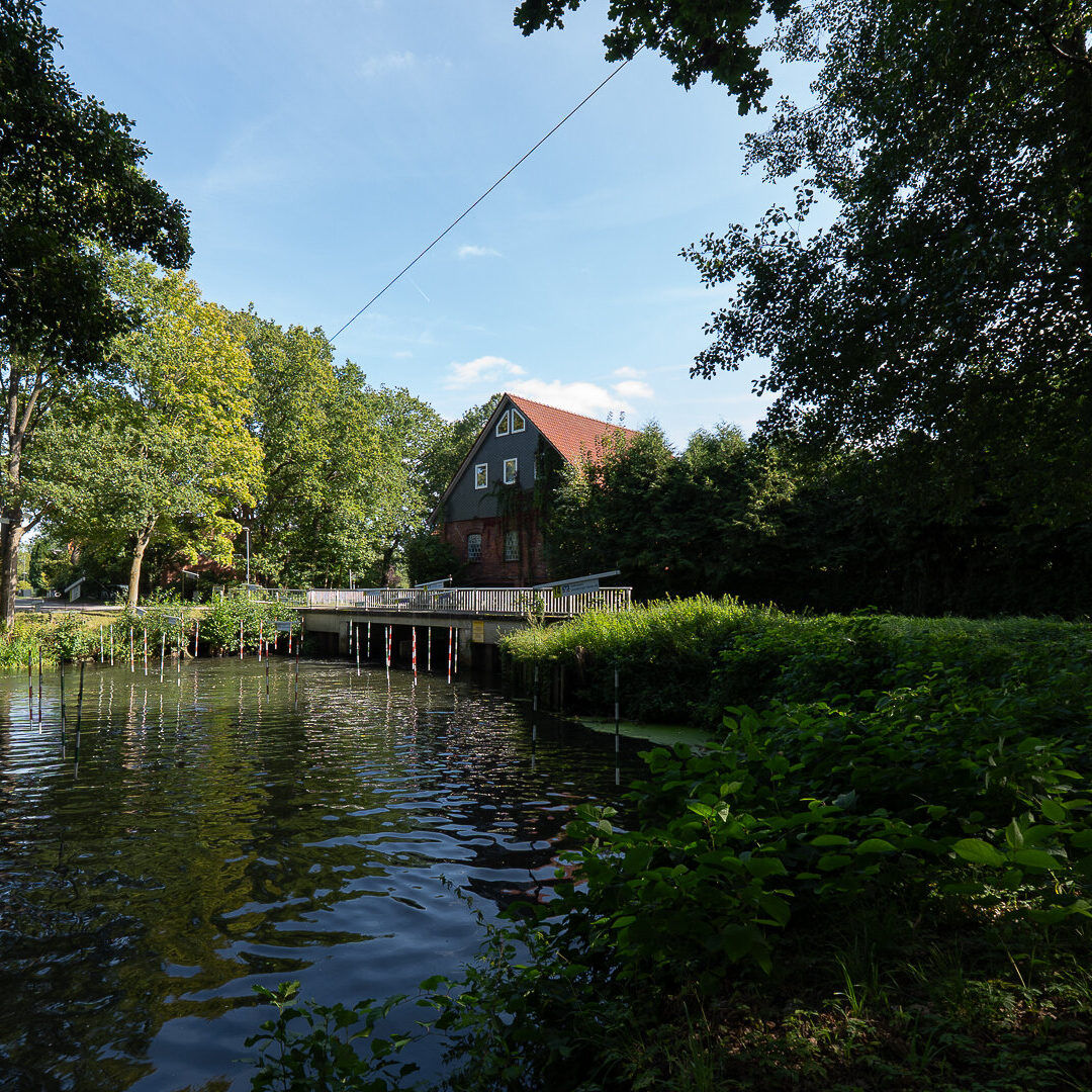 Teich mit Holzsteg in Luhdorf – Immobilienmakler Luhdorf - Neubauer Immobilien