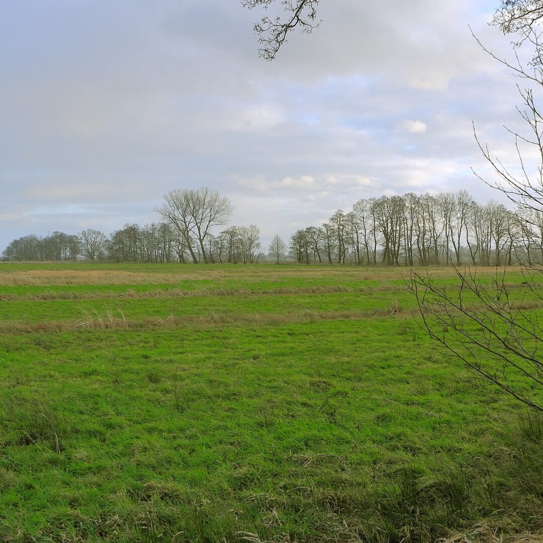 Landschaft zwischen Bullenhausen und Neuland – Immobilienmakler Over und Bullenhausen - Neubauer Immobilien
