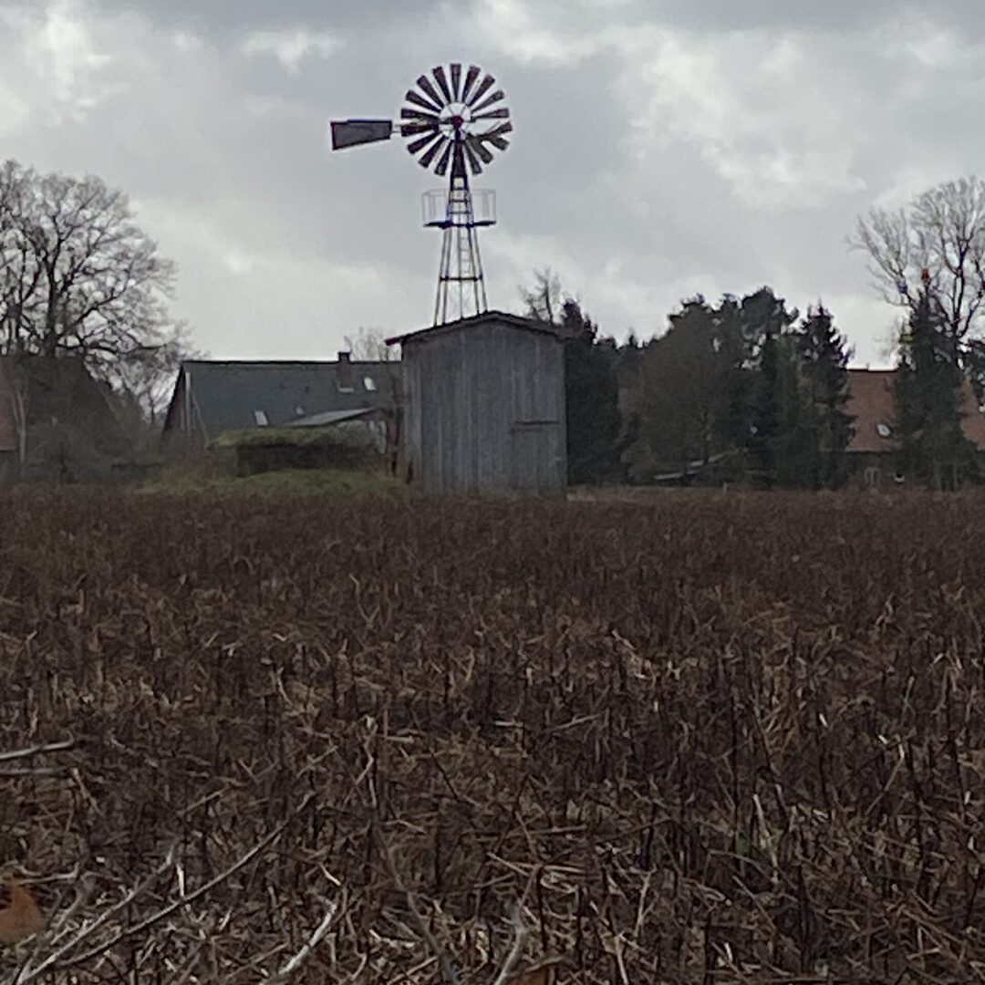 Windrad in Holtorfsloh – Immobilienmakler Ramelsloh - Neubauer Immobilien