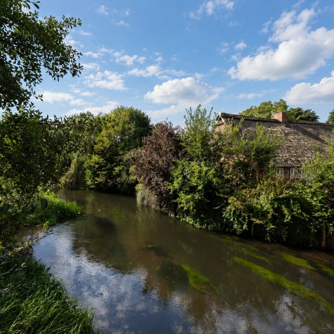 Bachlauf mit Ufergrün in Roydorf – Immobilienmakler Roydorf - Neubauer Immobilien