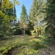 Garten - Gestalten Sie Ihr Wohlfühlparadies - Gemütlicher Bungalow mit großem Garten in Garstedt