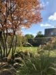 Gepflegte Doppelhaushälfte in Winsen-Luhdorf mit schönem Garten sucht neue Familie - Garten